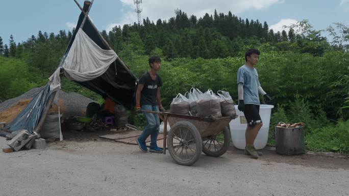 乡村振兴农业种植云南山村拉运菌种年轻人