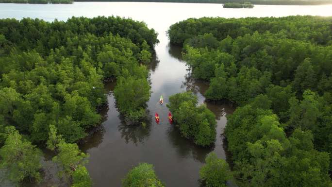 航拍一艘皮划艇在河流和热带森林中穿行，日落的天空倒映在水面上