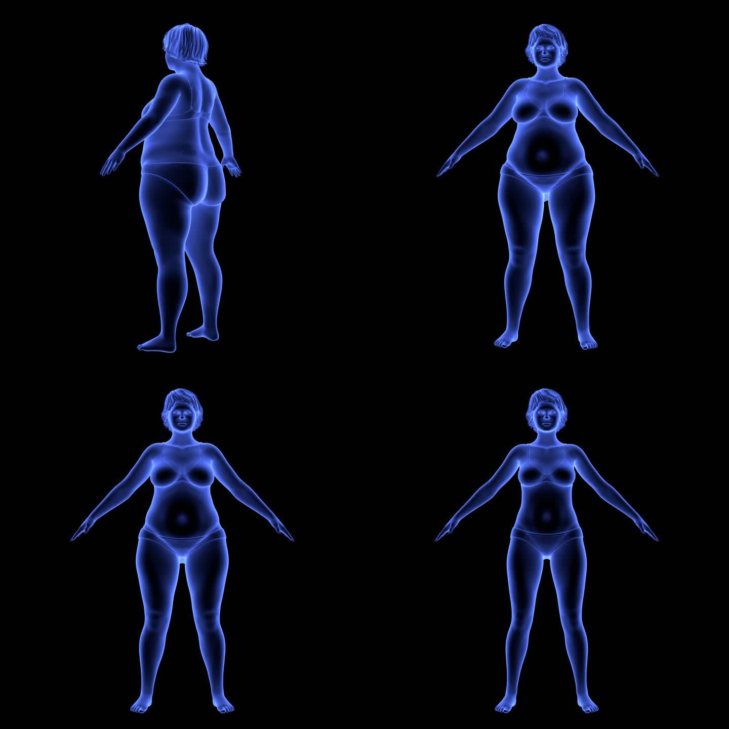 三维女人模型变瘦动态旋转蓝色科技减肥通道