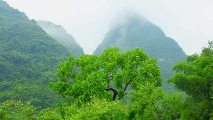 骑车慢行遇龙河