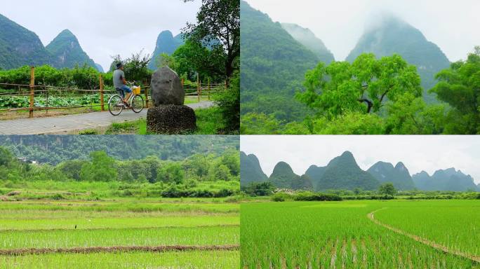 骑车慢行遇龙河