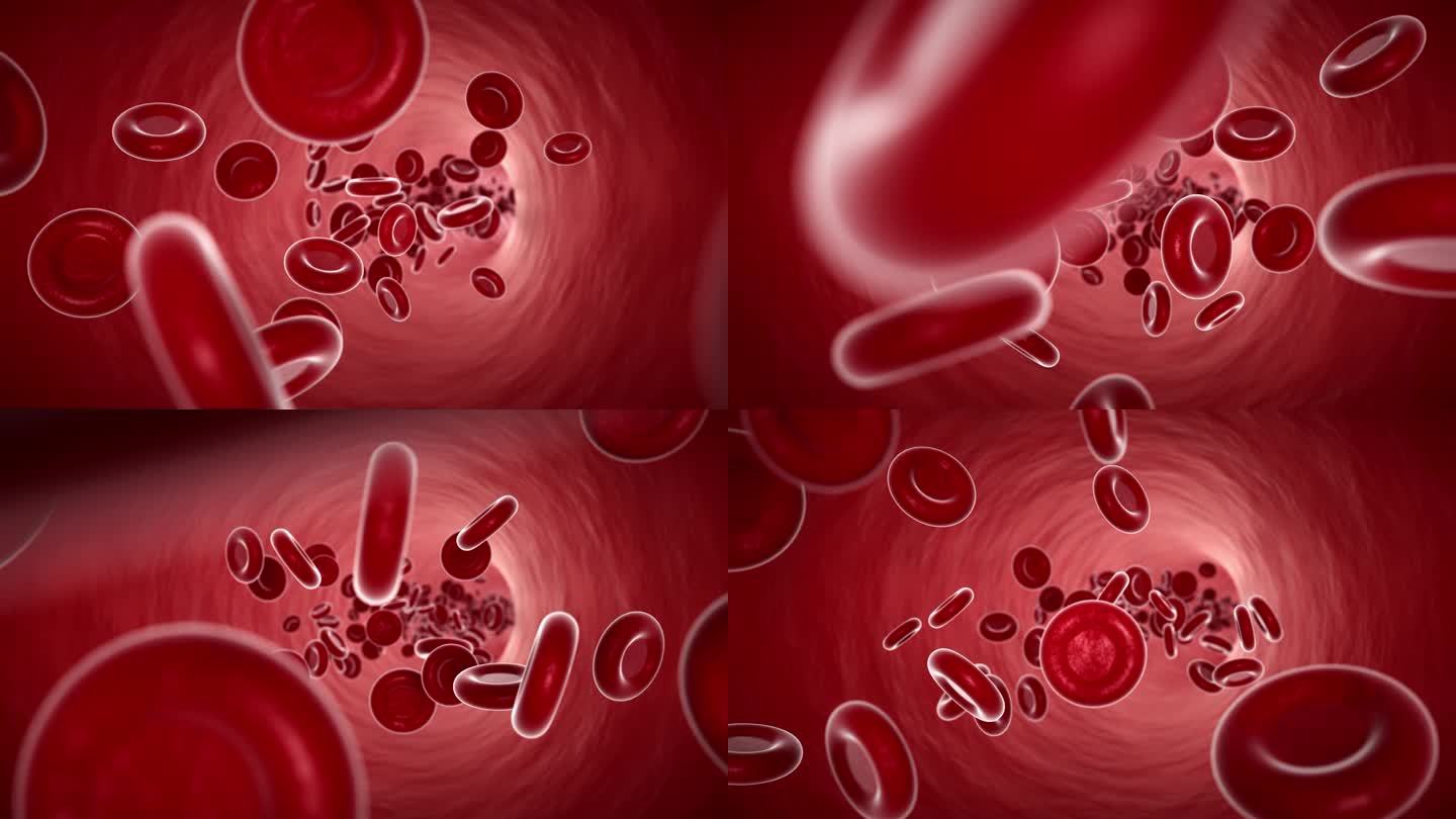 微观血管内流动的血小板三维动画