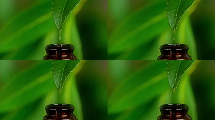 SPEED RAMP精油从绿叶上滴入小瓶