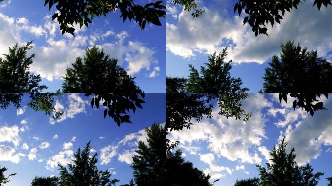初秋-绿树、蓝天与变幻的白云（2）-延时
