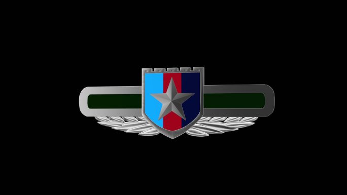 中央军委机关直属单位国防动员胸标