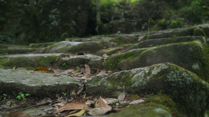 茶盐古道、茶马古道