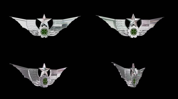 陆军胸标带透明通道循环视频