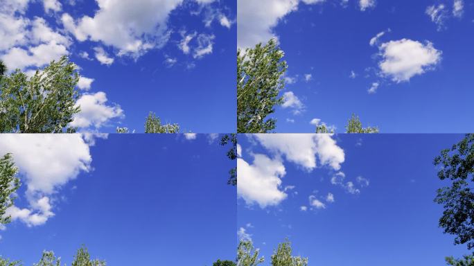 初秋-绿树、蓝天与变幻的白云（1）-延时