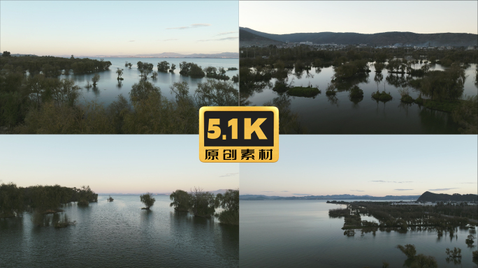 5K-昆明滇池南晋宁湿地，湿地航拍