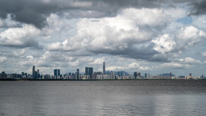 夏天的深圳湾风景