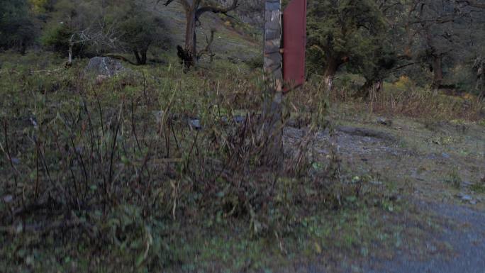 梅里雪山雨崩村徒步航拍视频