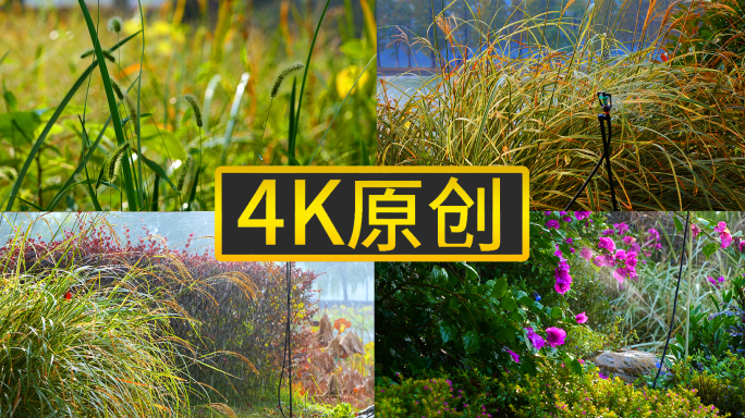 4k园林植物灌溉