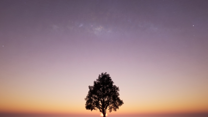 梦幻银河星空希望之树太阳升起迎接新的一天