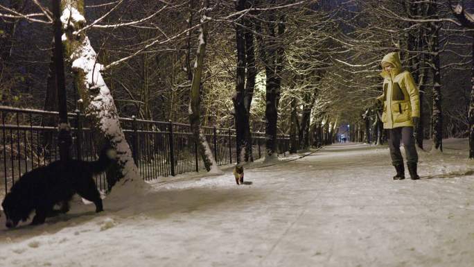 冬天的傍晚，一个穿着黄色连帽外套的成熟女人正牵着狗和猫在小巷里散步。