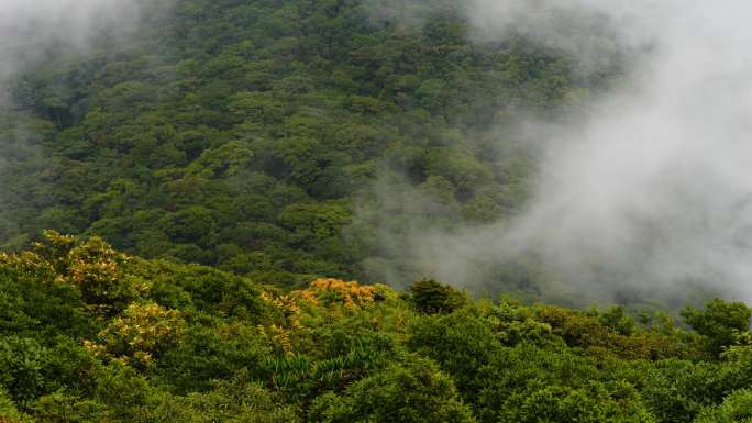 雾景