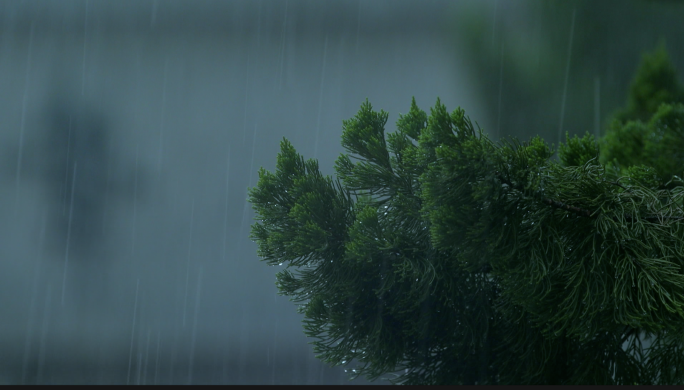 下雨、暴雨、阵雨