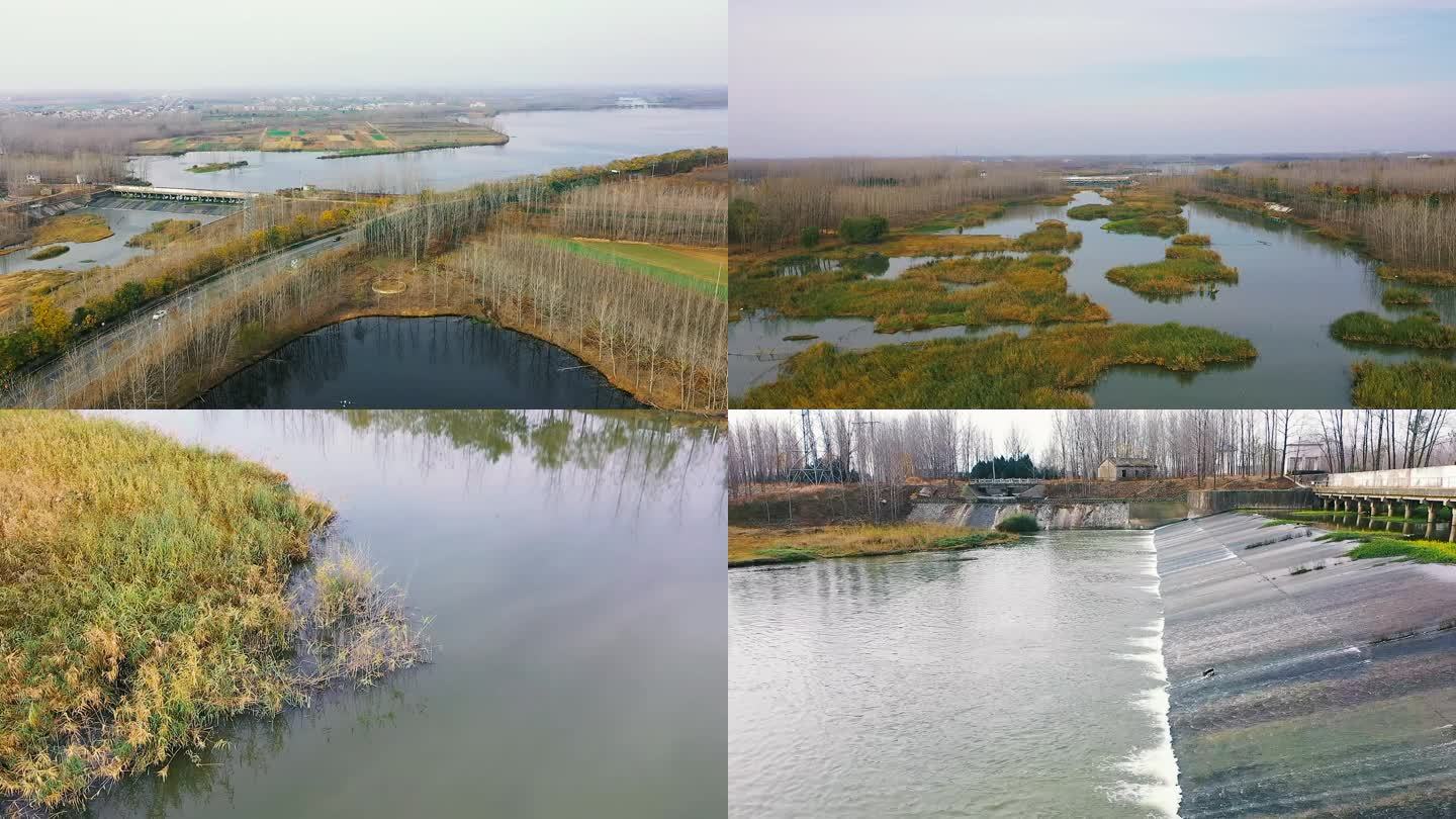 河道 秋季 冬季 水坝 水草