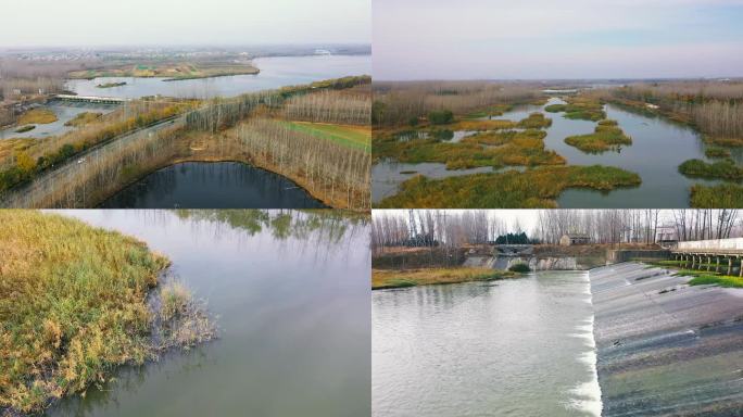 河道 秋季 冬季 水坝 水草