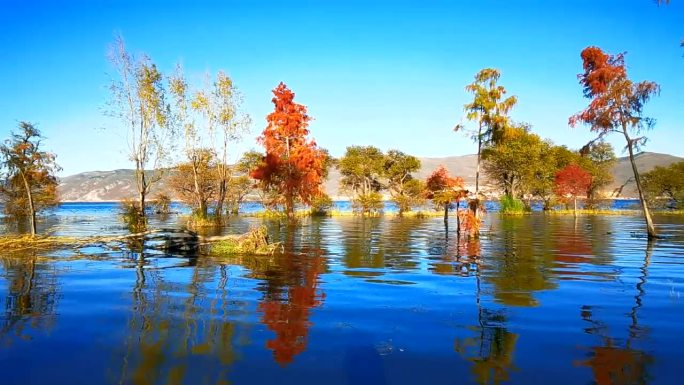 湖面倒影风景