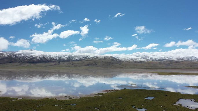 西藏 湿地 景色 羊湖