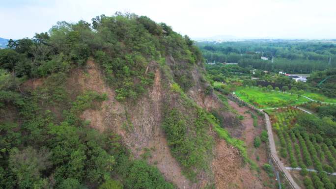 南京瓜埠山石柱林 国家地质公园