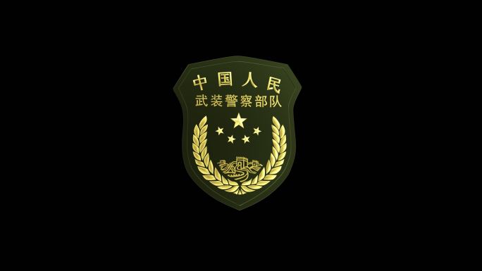 武裝警察部队臂章带透明通道循环视频