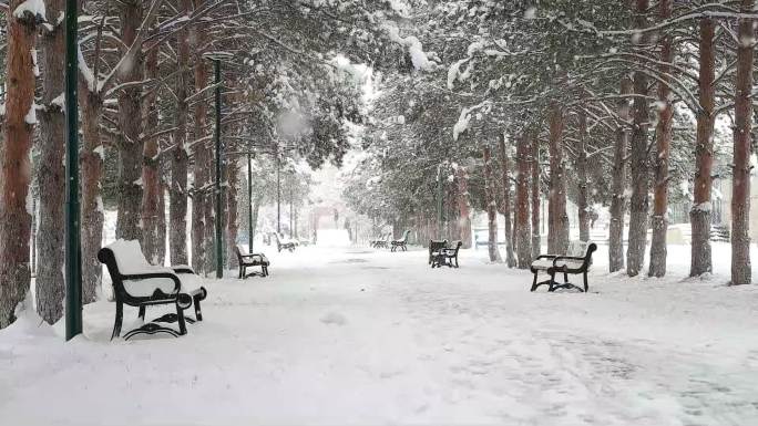 雪下的冬季公园。城市公园里的暴风雪。
