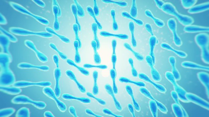 益生菌酵母细胞益生菌酵母细胞生物化学医学