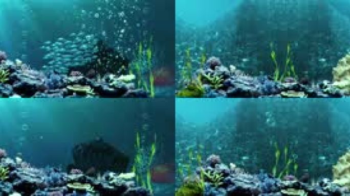 6K海底世界超宽屏背景视频
