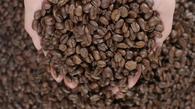 咖啡咖啡豆烘焙捧咖啡