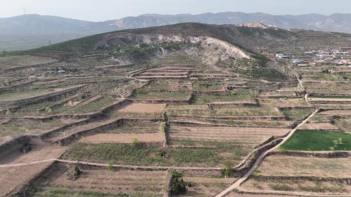 山坡  田地    石头