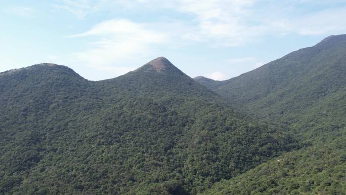 深圳七娘山马料河尖峰丫