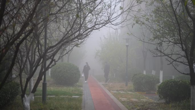 雾霾 霾  尾气 城市空气污染