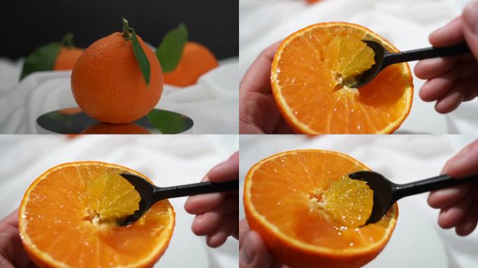 吃橙子果冻橙红美人柑橘