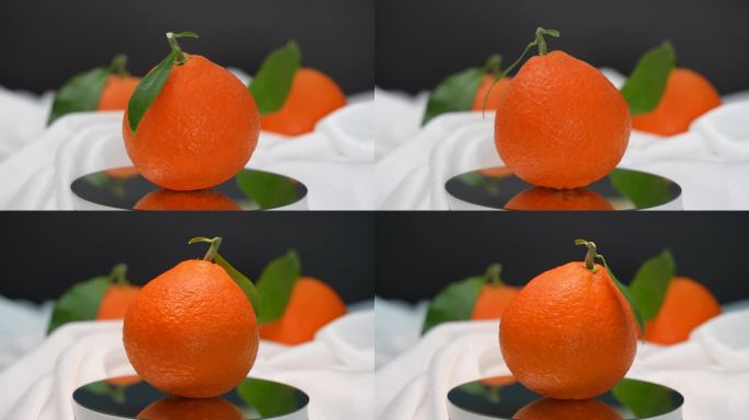 精品红美人柑橘