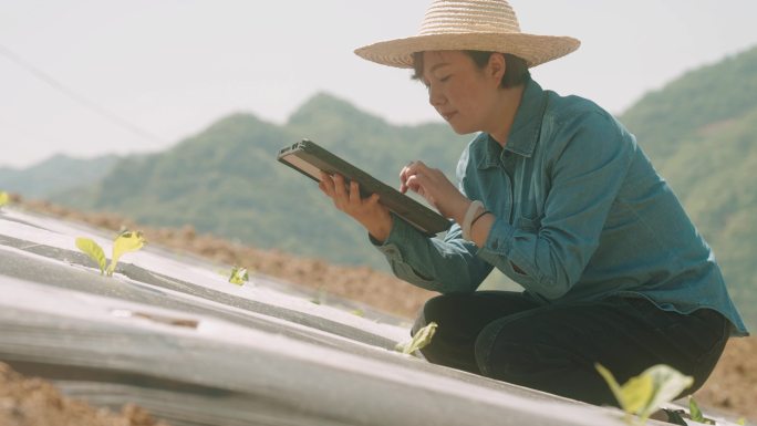 农民在她的农场使用数字平板电脑和监控，智能农业