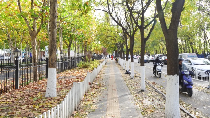 北京秋天街道路人行人