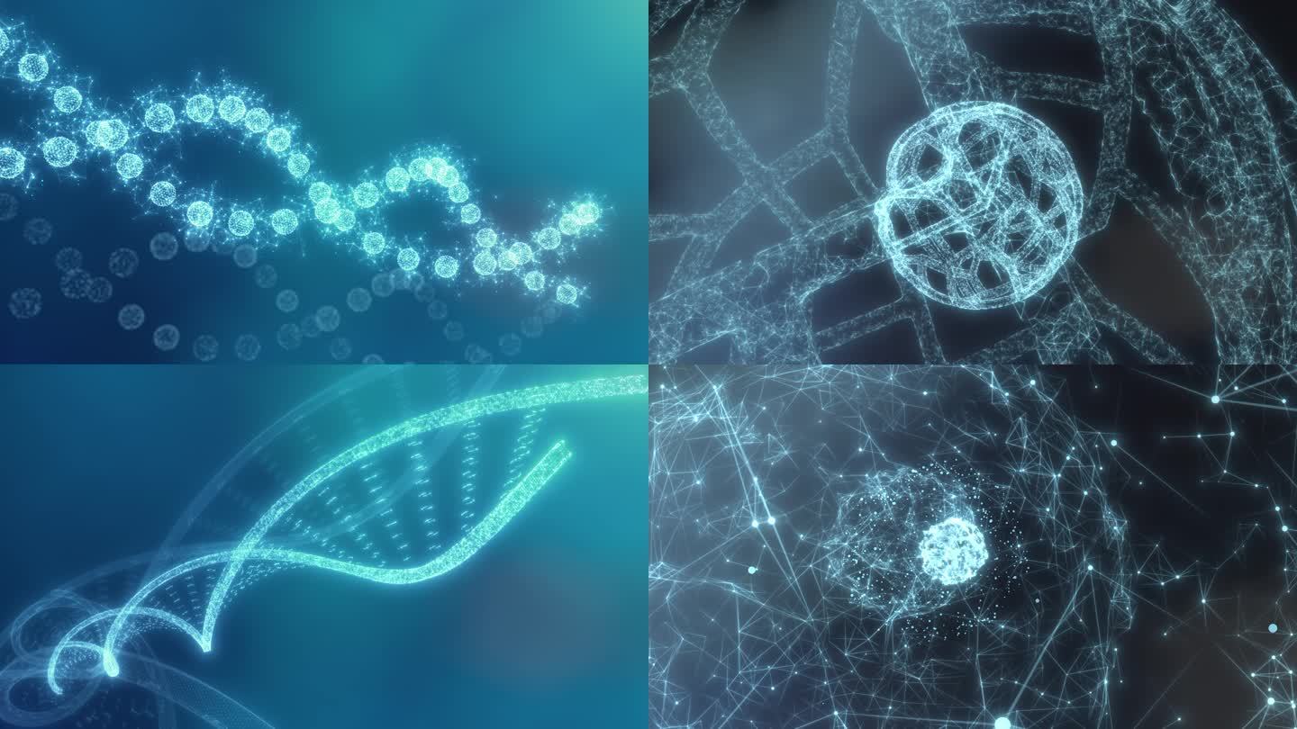 医疗生物学AE模板