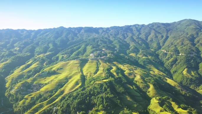 龙胜梯田