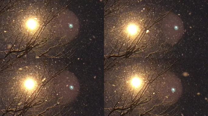 灯光下树木的剪影 雪景空境