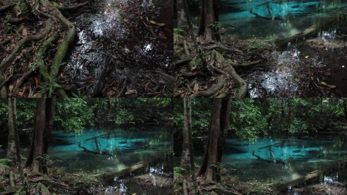 泰国甲米省翡翠池。
