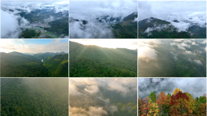 4k森林大自然流水风景树林山水自然山山川