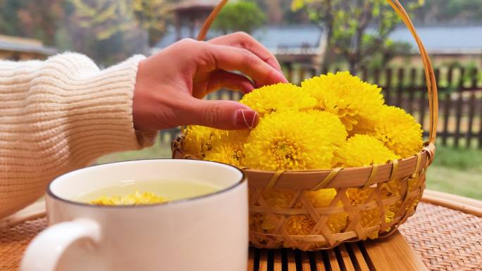 美女泡菊花茶空镜特写2