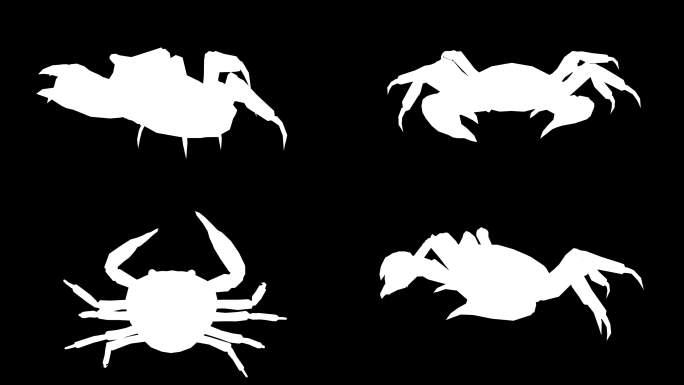 黑色背景上的跑步螃蟹轮廓。动物、野生动物、游戏、返校、3d动画、短视频、电影、卡通、有机、色度键、人