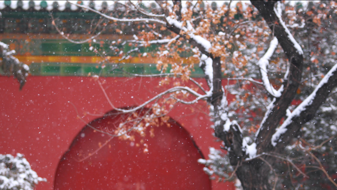 北京下雪