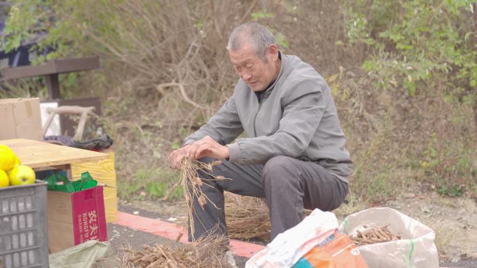 慈祥白发老人日常