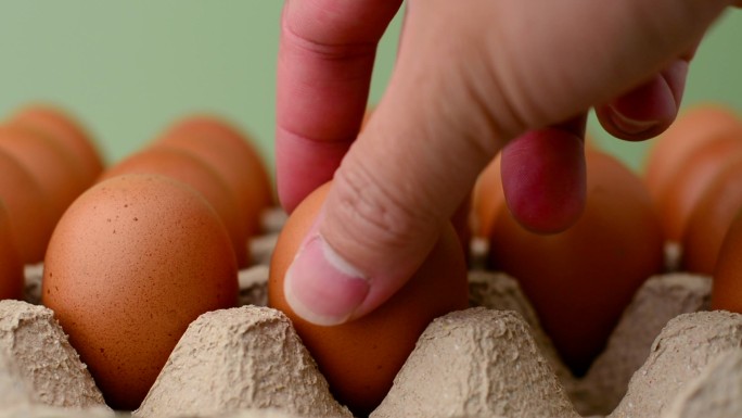 鸡蛋中的鸡蛋面板视频生鸡蛋中的蛋面板