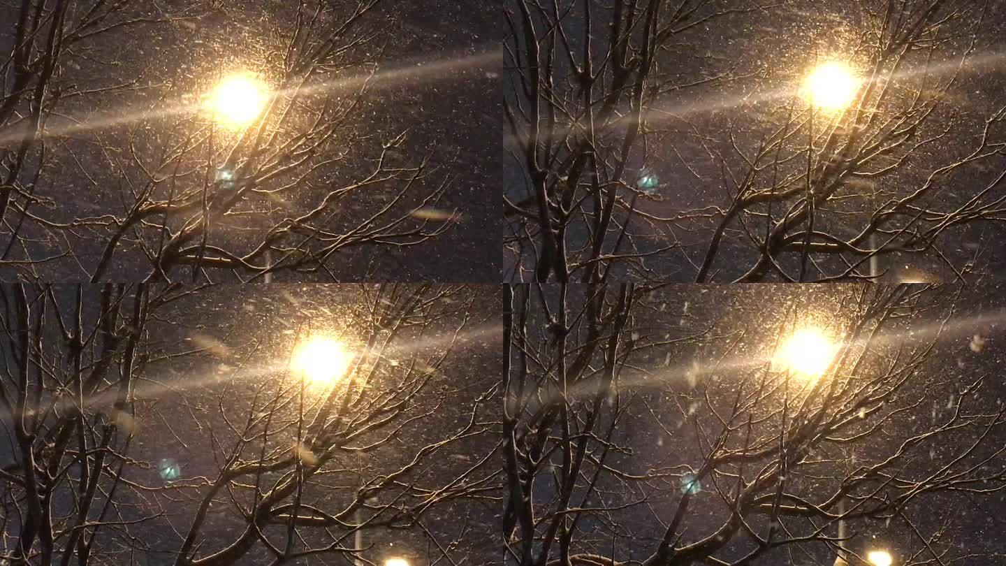 灯光下树木的剪影 雪景空境