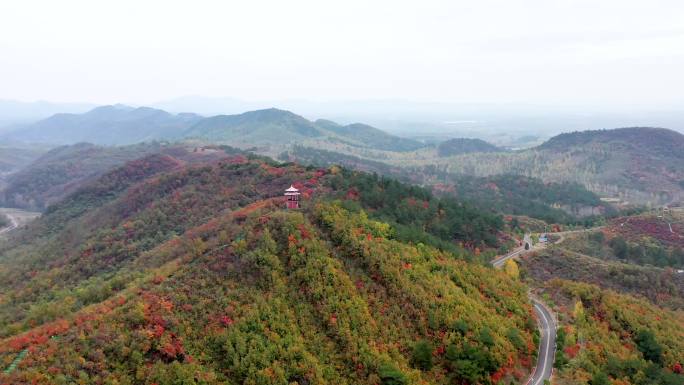 黄冈红叶航拍-万山红遍