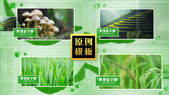 48图绿色生态环保农业图文照片相册包装